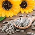 5233732527569619000 (1)